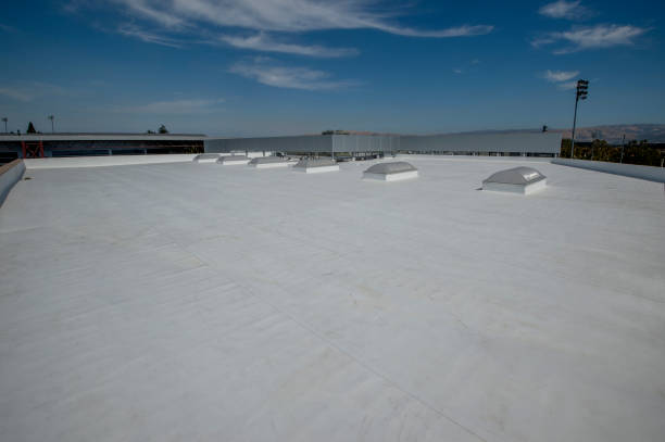Best Roof Coating and Sealing  in Newtown, OH